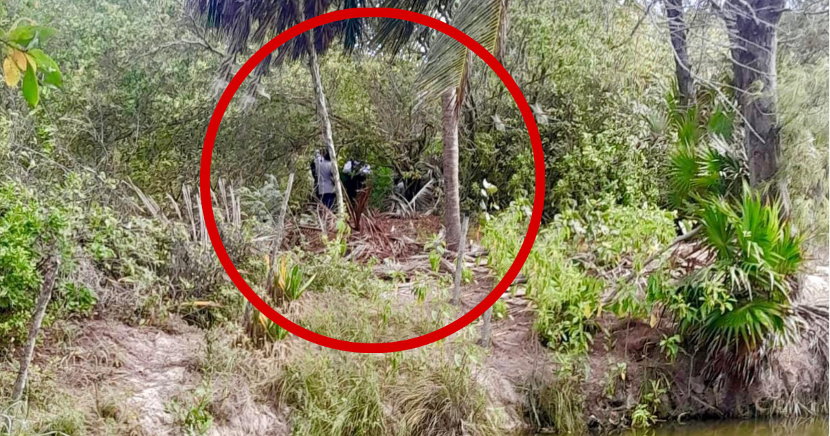 Hallan cadáver de hombre colgado en cenote de la Playa 72
