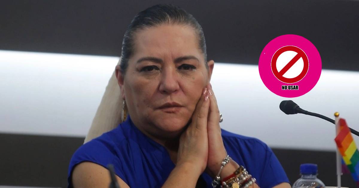 INE pide a Marea Rosa no trasgredir las elecciones al usar el color institucional en su marcha