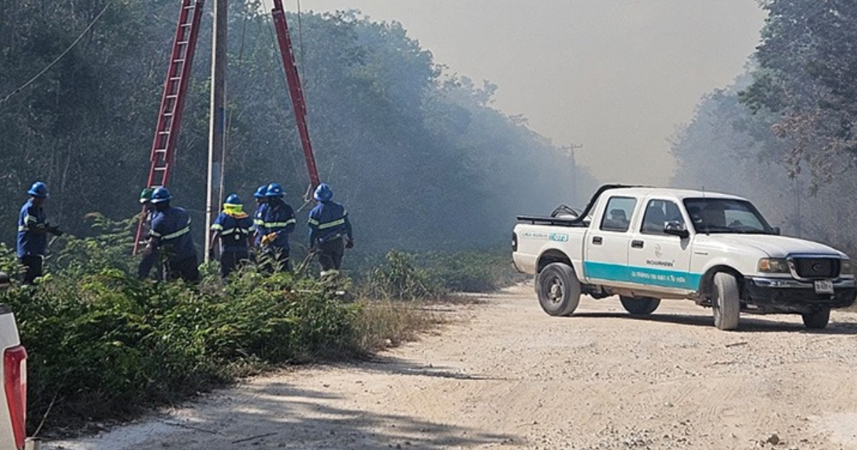 Incendio en zona de captación deja sin agua potable parte de Cancún e Isla Mujeres