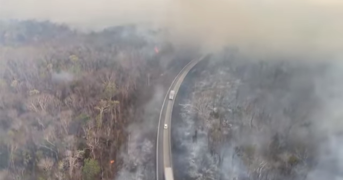 Llueven cenizas en José María Morelos tras incendio forestal