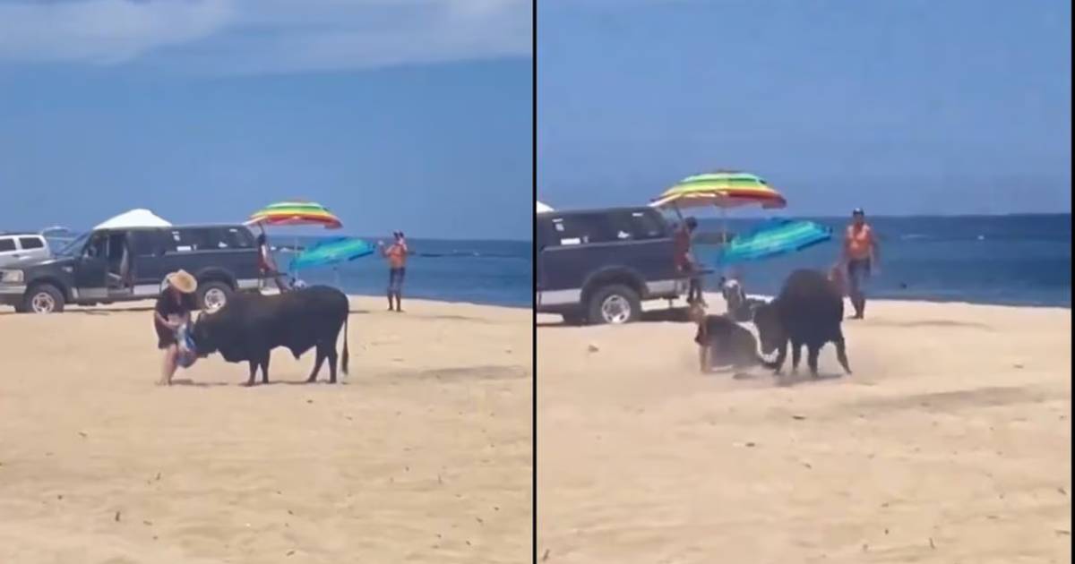 Toro embiste a una mujer en playa de Los Cabos, Baja California Sur