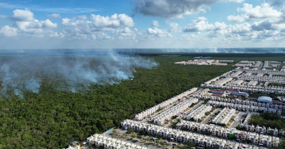 Incendio forestal en las inmediaciones de la colonia Villas del Sol de Playa del Carmen