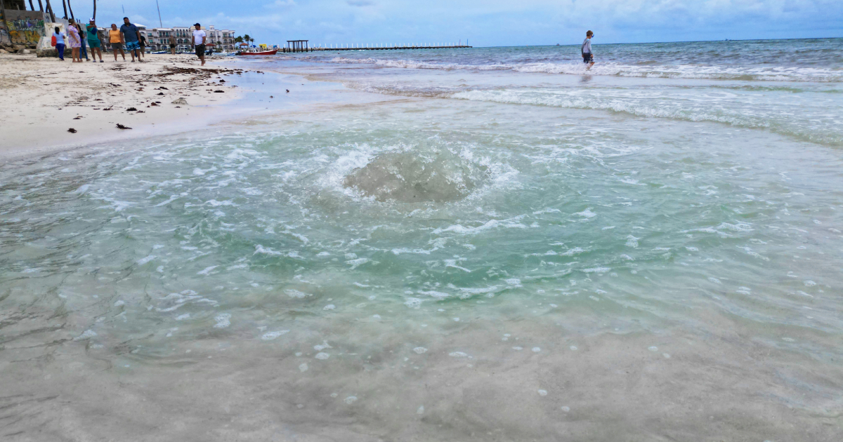 Foto del Ojo de agua en playa del carmen