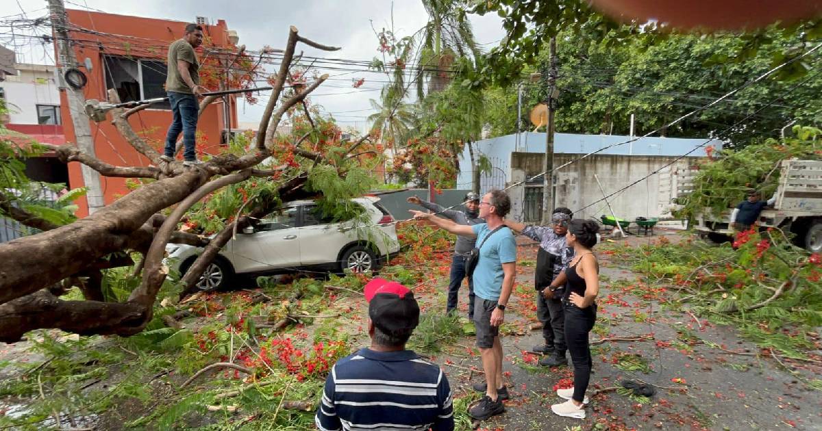 Lluvias dejan árboles caídos en Solidaridad