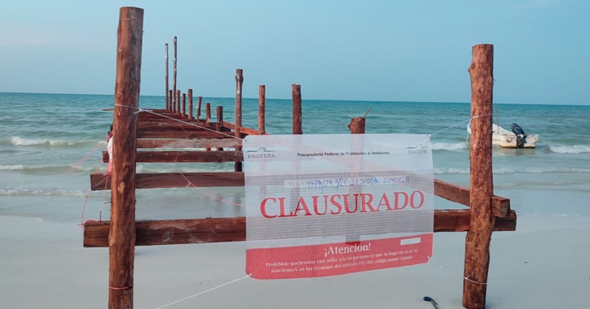 Construyen muelle sin permiso en la última zona virgen de Holbox