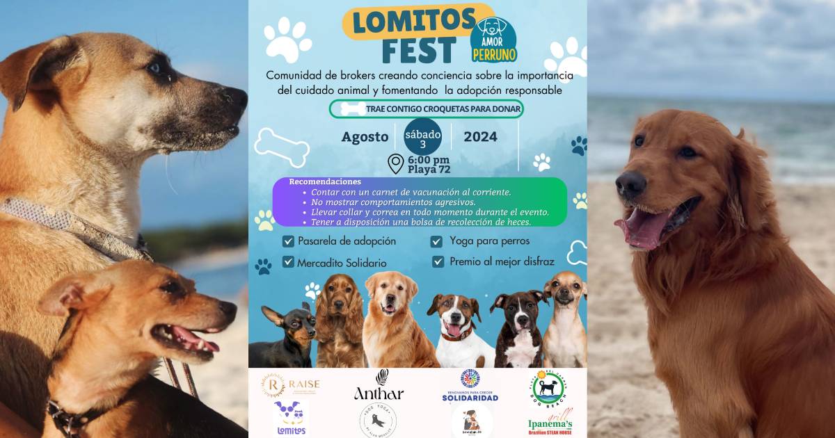 Lomitos Fest en Playa del Carmen