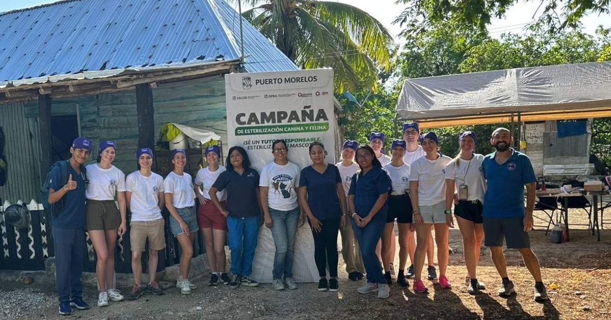 Realizan por primera vez jornada de esterilización en Puerto Morelos