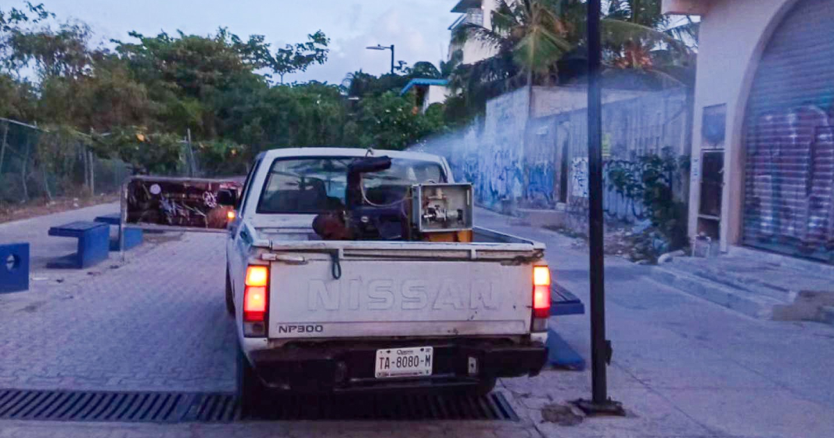 Solidaridad toma medidas de precaución contra el dengue