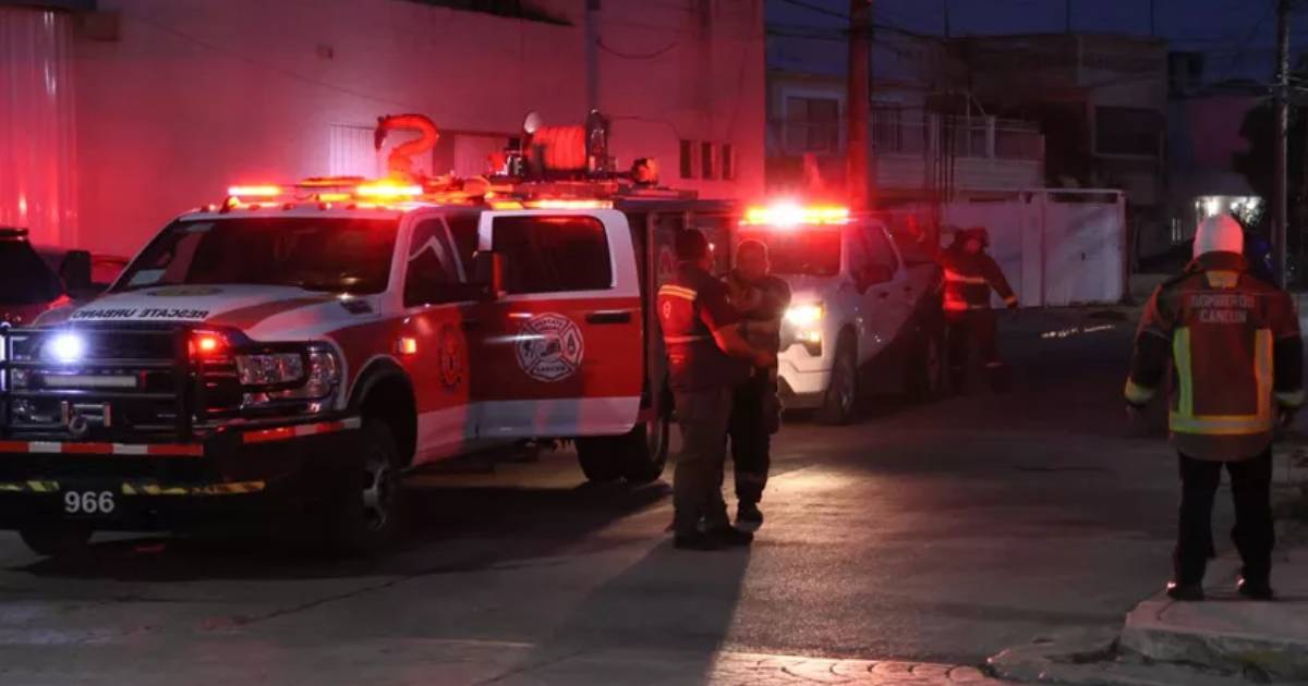 Ataque de abejas en Cancún