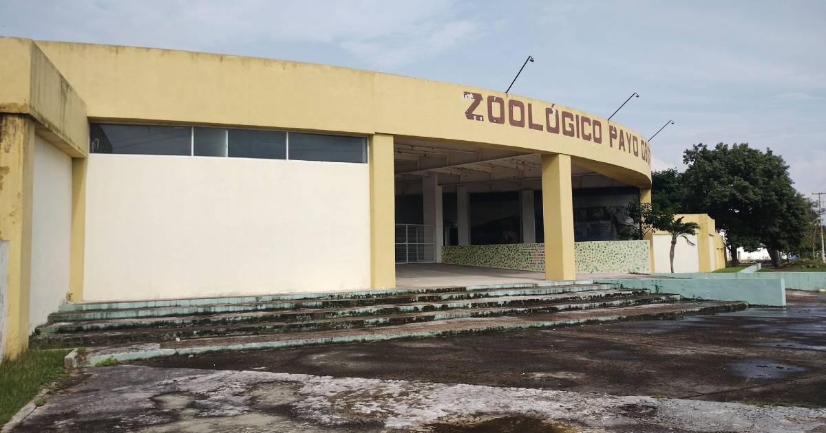 Zoológico Payo Obispo nuevas atracciones y medidas de seguridad