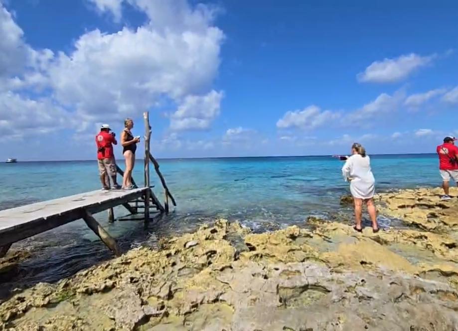 Aumenta la vigilancia por cocodrilos en Playa Casitas.