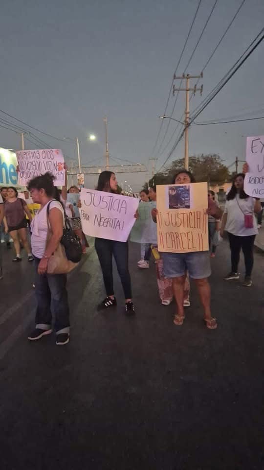 Justicia para la perrita atropellada